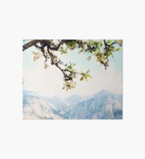 Apple Blossoms and Mountains Art Board