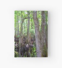 Cypress Swamp Hardcover Journal