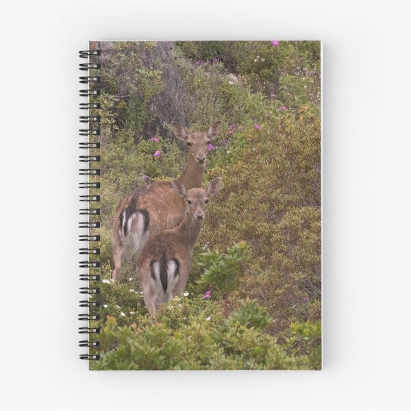 Item preview, Dama Dama Deer designed and sold by LaurenTucker.