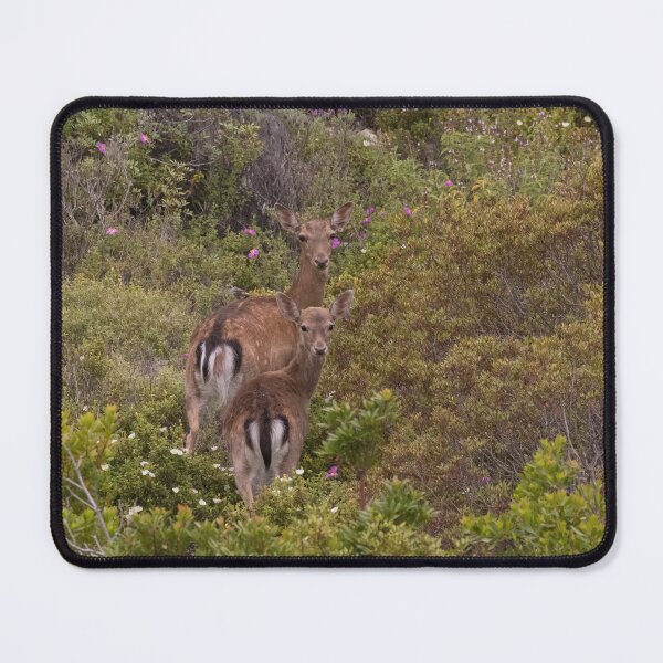 Item preview, Dama Dama Deer designed and sold by LaurenTucker.