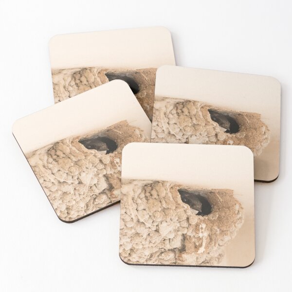 Item preview, House Martin designed and sold by LaurenTucker.