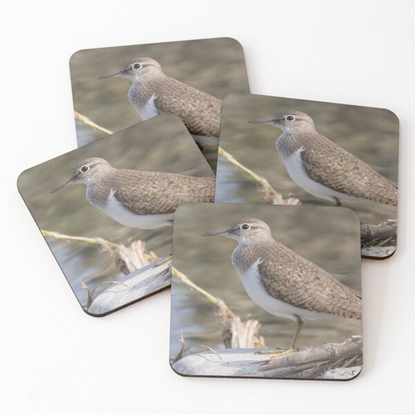 Artikelvorschau, Green Sandpiper entworfen und verkauft von LaurenTucker.
