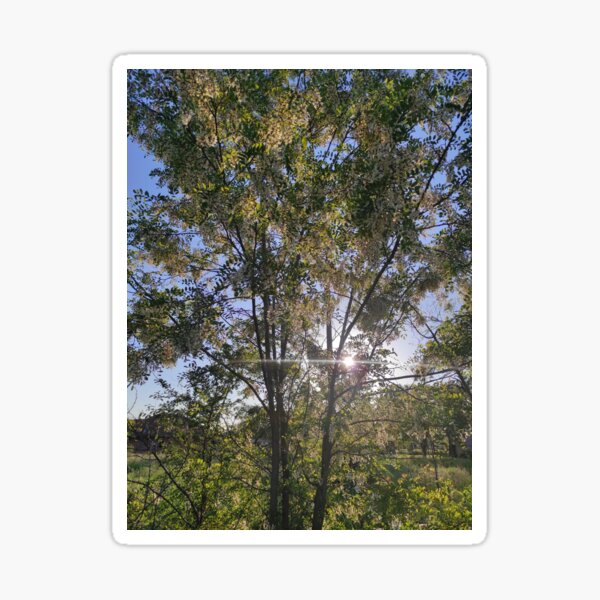 Beautiful natural  Sticker
