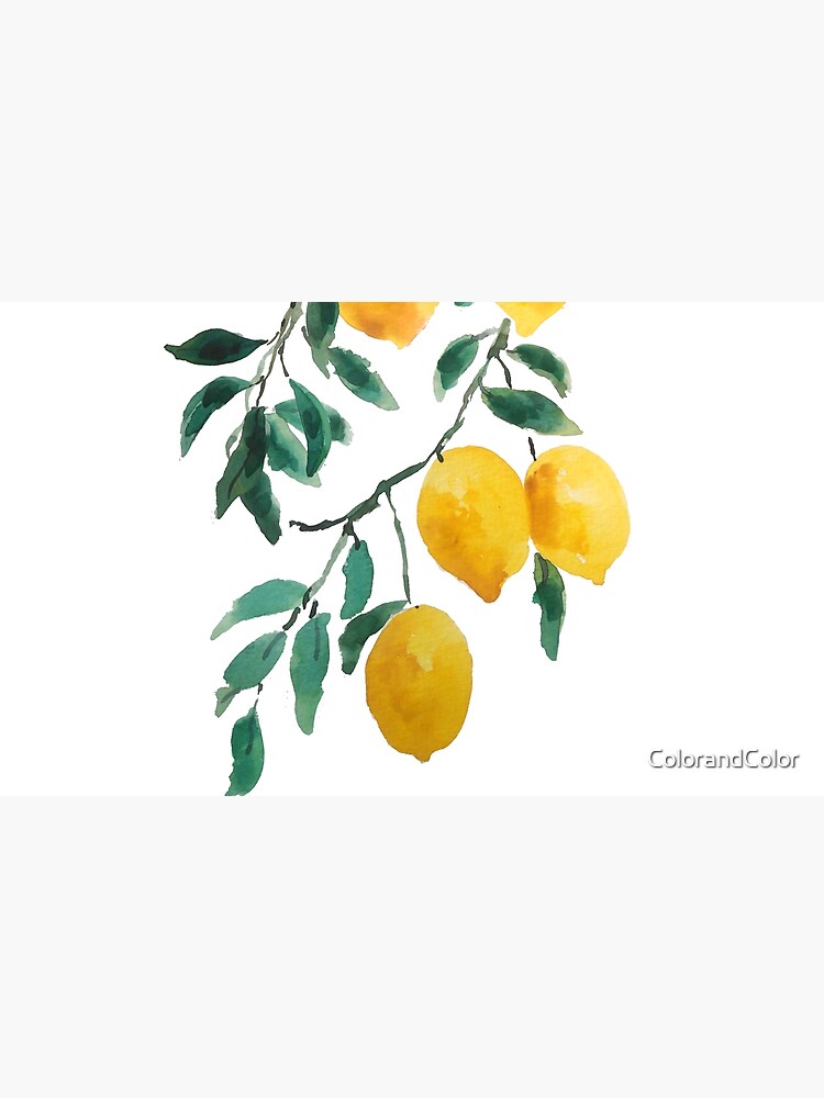 yellow lemon watercolor by ColorandColor