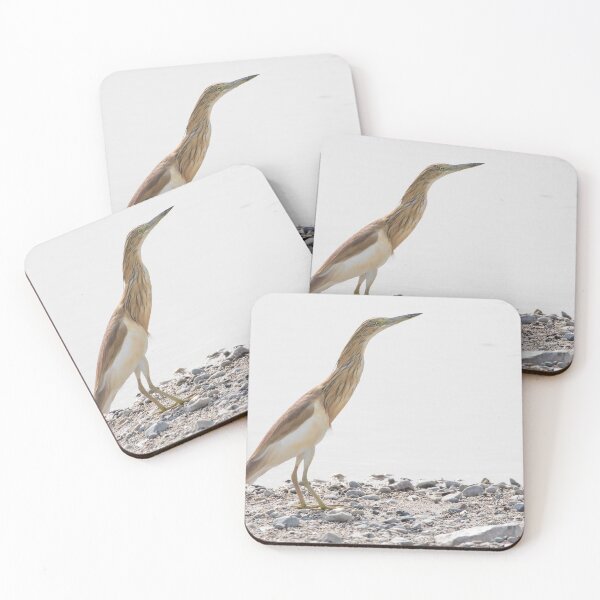 Aperçu de l'œuvre Squacco Heron créée et vendue par LaurenTucker.