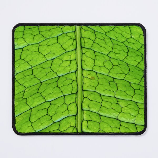 Item preview, Crocodile Skin designed and sold by Dead-Moroz.