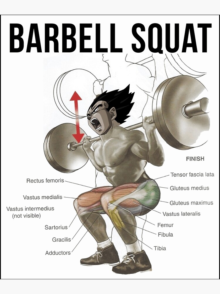 Anatomy Chart Exercise Diagram Anime Squat Inspirational