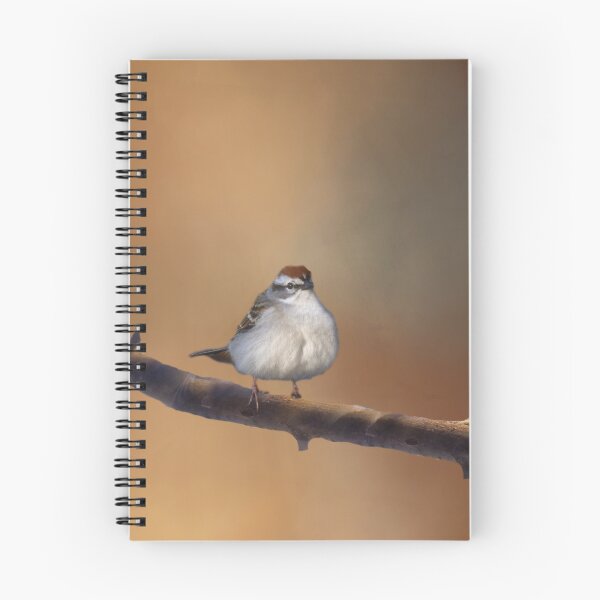 Item preview, His Eye is on the Sparrow designed and sold by Kathy Weaver.