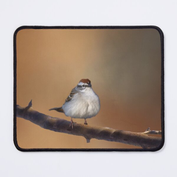 Item preview, His Eye is on the Sparrow designed and sold by Kathy Weaver.