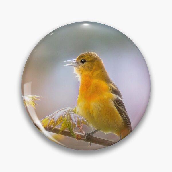 Item preview, Lady Oriole designed and sold by Kathy Weaver.
