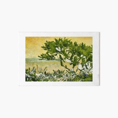 Fern-leafed Banksia Art Board Print