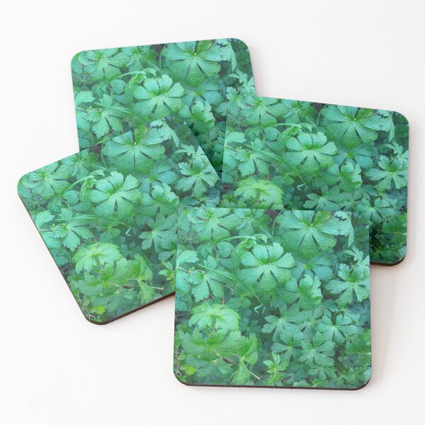 Item preview, Geranium designed and sold by SilviPavlova.