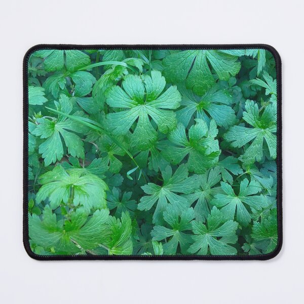 Item preview, Geranium designed and sold by SilviPavlova.