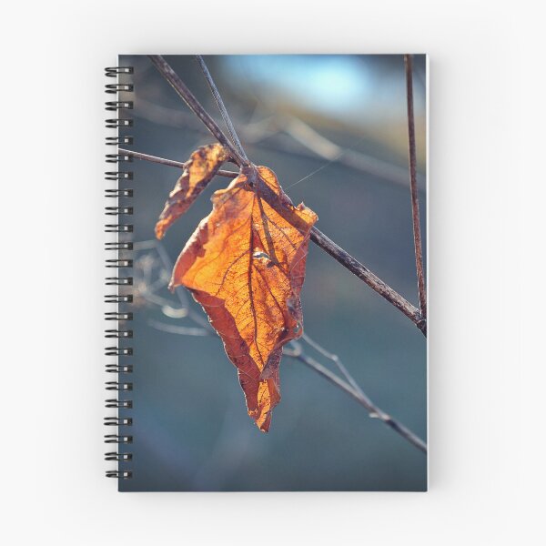 Item preview, Autumn leaf designed and sold by inlightimagery.