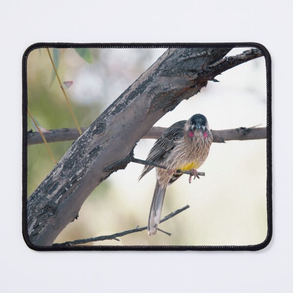 Item preview, Wattlebird on a bough designed and sold by imaginethis.