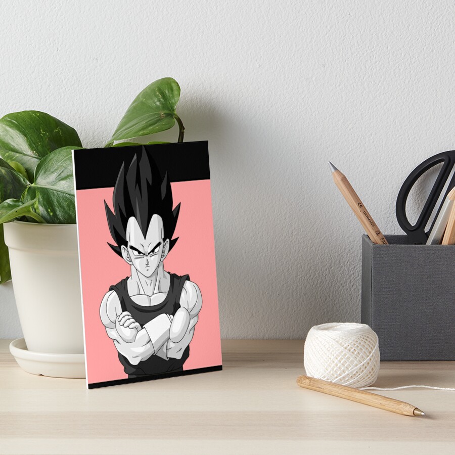 Dragon Ball Z VEGETA BADMAN Classic