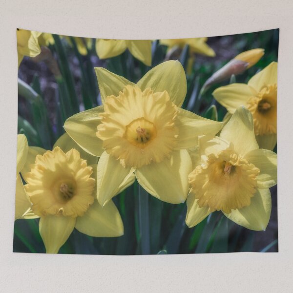 Item preview, Spring Time Daffodils designed and sold by Roger Porter Photography.