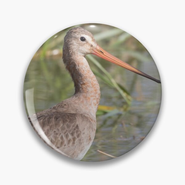 Item preview, Black Tailed Godwit designed and sold by LaurenTucker.