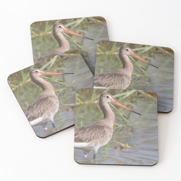 Aperçu de l'œuvre Black Tailed Godwit créée et vendue par LaurenTucker.