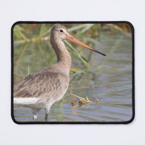 Item preview, Black Tailed Godwit designed and sold by LaurenTucker.