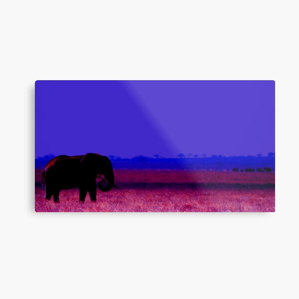 Colorful Africa... Metal Print