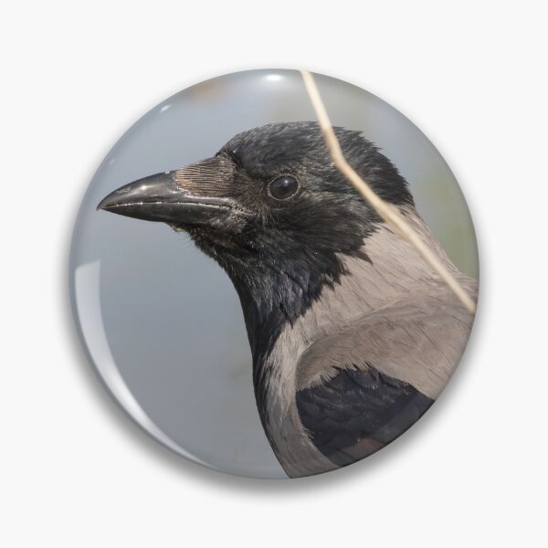 Item preview, Hooded Crow designed and sold by LaurenTucker.