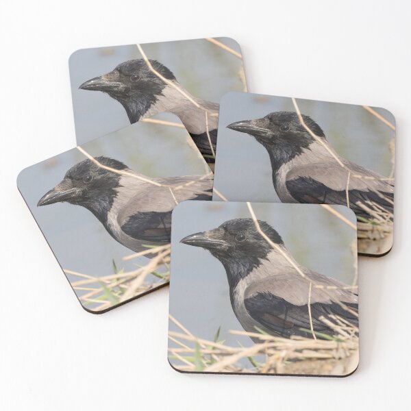 Item preview, Hooded Crow designed and sold by LaurenTucker.