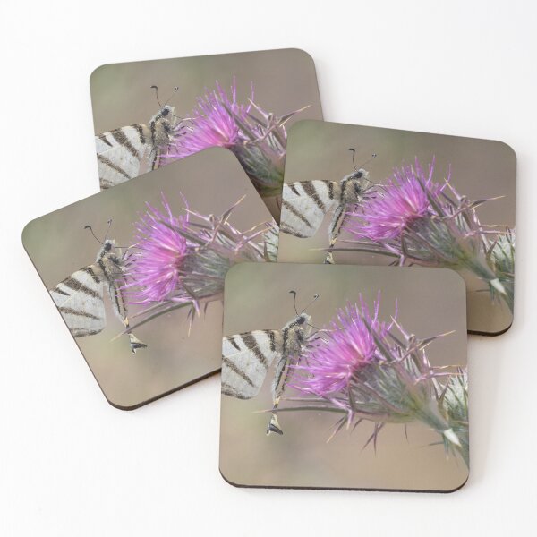 Item preview, Scarce Swallowtail designed and sold by LaurenTucker.