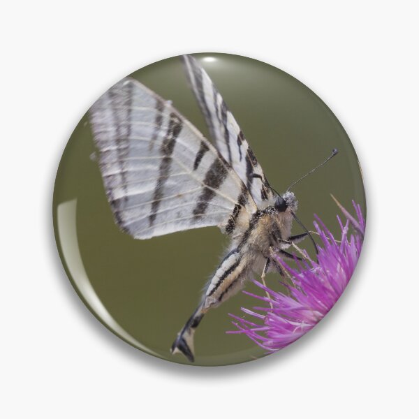 Item preview, Scarce Swallowtail designed and sold by LaurenTucker.
