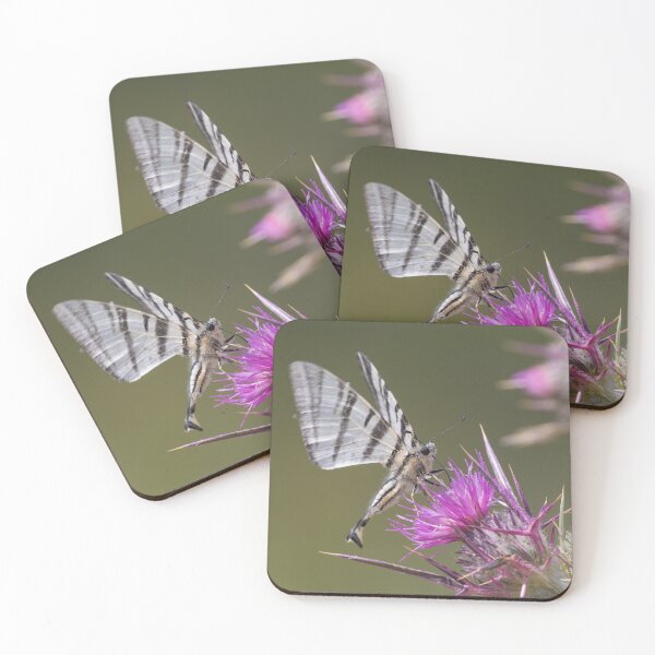 Item preview, Scarce Swallowtail designed and sold by LaurenTucker.