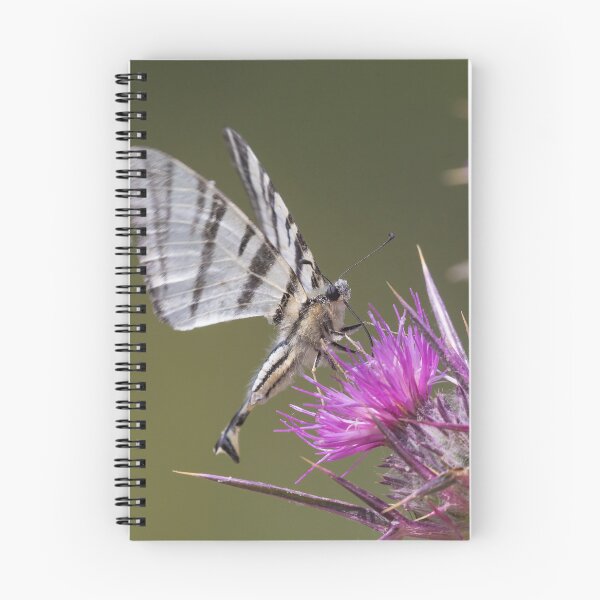 Item preview, Scarce Swallowtail designed and sold by LaurenTucker.