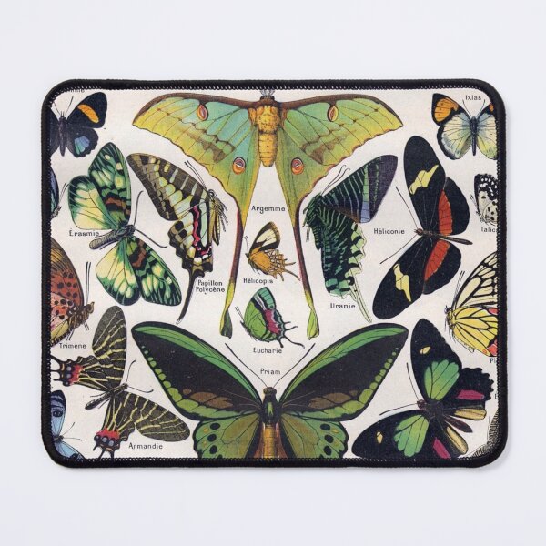 Item preview, Butterflies Moths Vintage Collection Poster designed and sold by NoCoffeeNoLife.