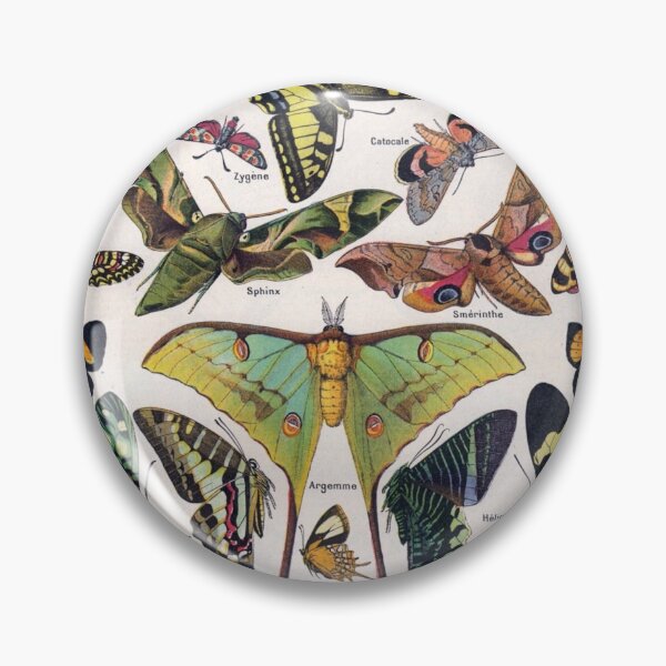 Item preview, Butterflies Moths Vintage Collection Poster designed and sold by NoCoffeeNoLife.