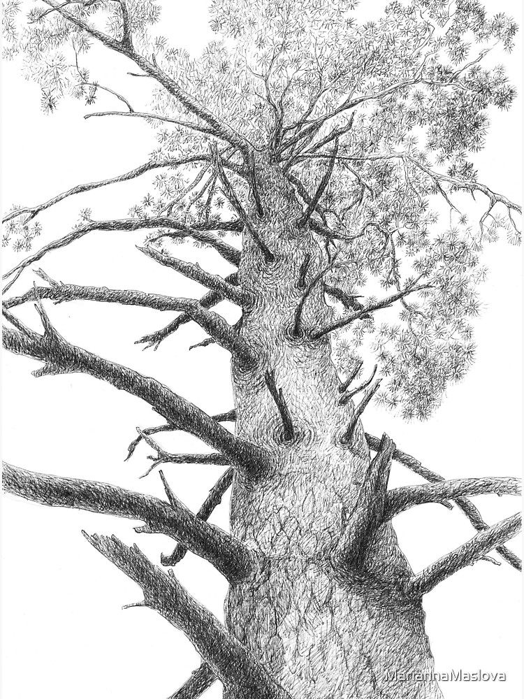 "Pine tree Kingdom" Sticker by MariannaMaslova Redbubble