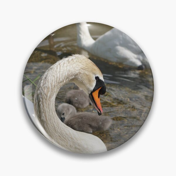 Item preview, muteswans, with cygnets at the canal - Lake Onrid designed and sold by distracted.