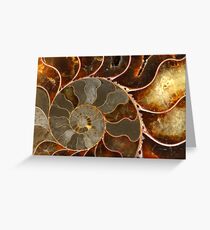 Ammolite Greeting Card