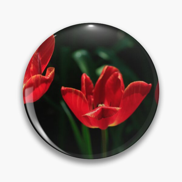 Item preview, Red tulips on black background designed and sold by olena2552.
