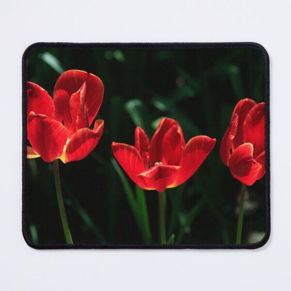 Item preview, Red tulips on black background designed and sold by olena2552.