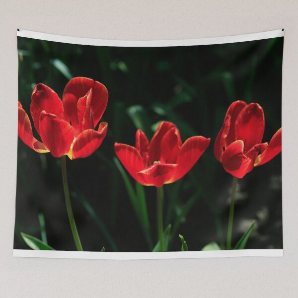 Item preview, Red tulips on black background designed and sold by olena2552.
