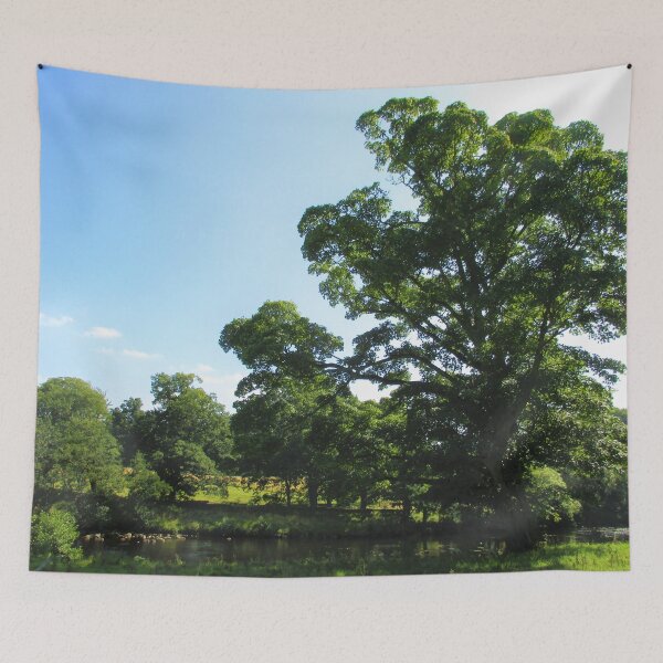 Item preview, #89 |☼| Stream Between Trees - Shot 1 (Hadrian's Wall) designed and sold by Naean H.F. (Nez Man).