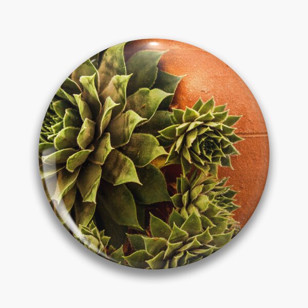 Item preview, Succulent and Terracotta designed and sold by ChelleCreate.