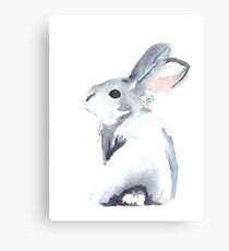 Moon Rabbit I Canvas Print