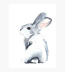 Moon Rabbit I Photographic Print