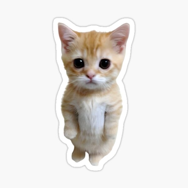 Georgenotfound Sad Cat Dance 🐱 
