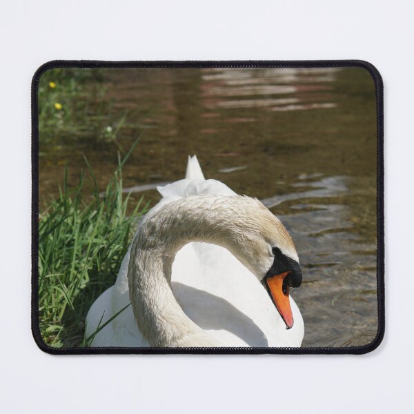 Item preview, muteswan at the canal - Lake Onrid designed and sold by distracted.