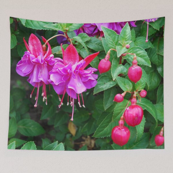 Aperçu de l'œuvre Fuschia 2 créée et vendue par lizdomett.