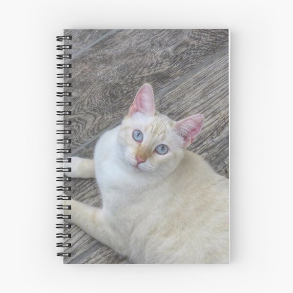 Item preview, Red Point Siamese Cat on Grey Floor designed and sold by Elisabeth Lucas.