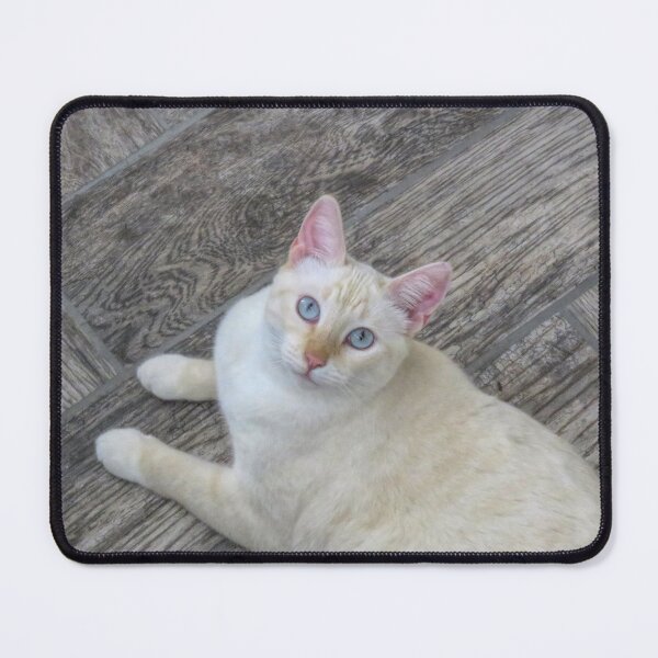 Item preview, Red Point Siamese Cat on Grey Floor designed and sold by Elisabeth Lucas.