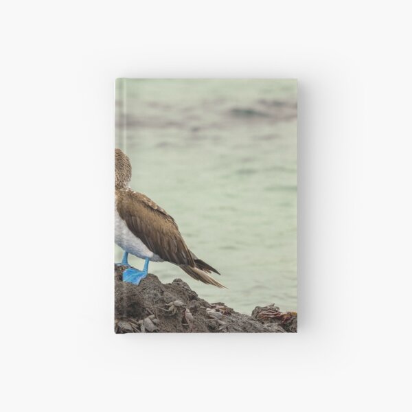 Blue-footed, blue-footed booby Hardcover Journal
