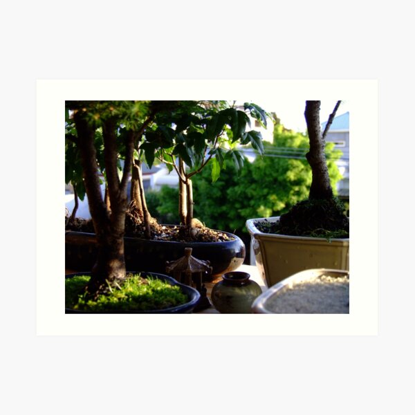 PixelSquid Red Bonsai Tree in the Zen Garden Art Print for Sale